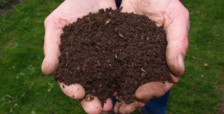 Composting for Your Garden: Improving Soil Quality, Reducing Waste, and Increasing Nutrient Availability